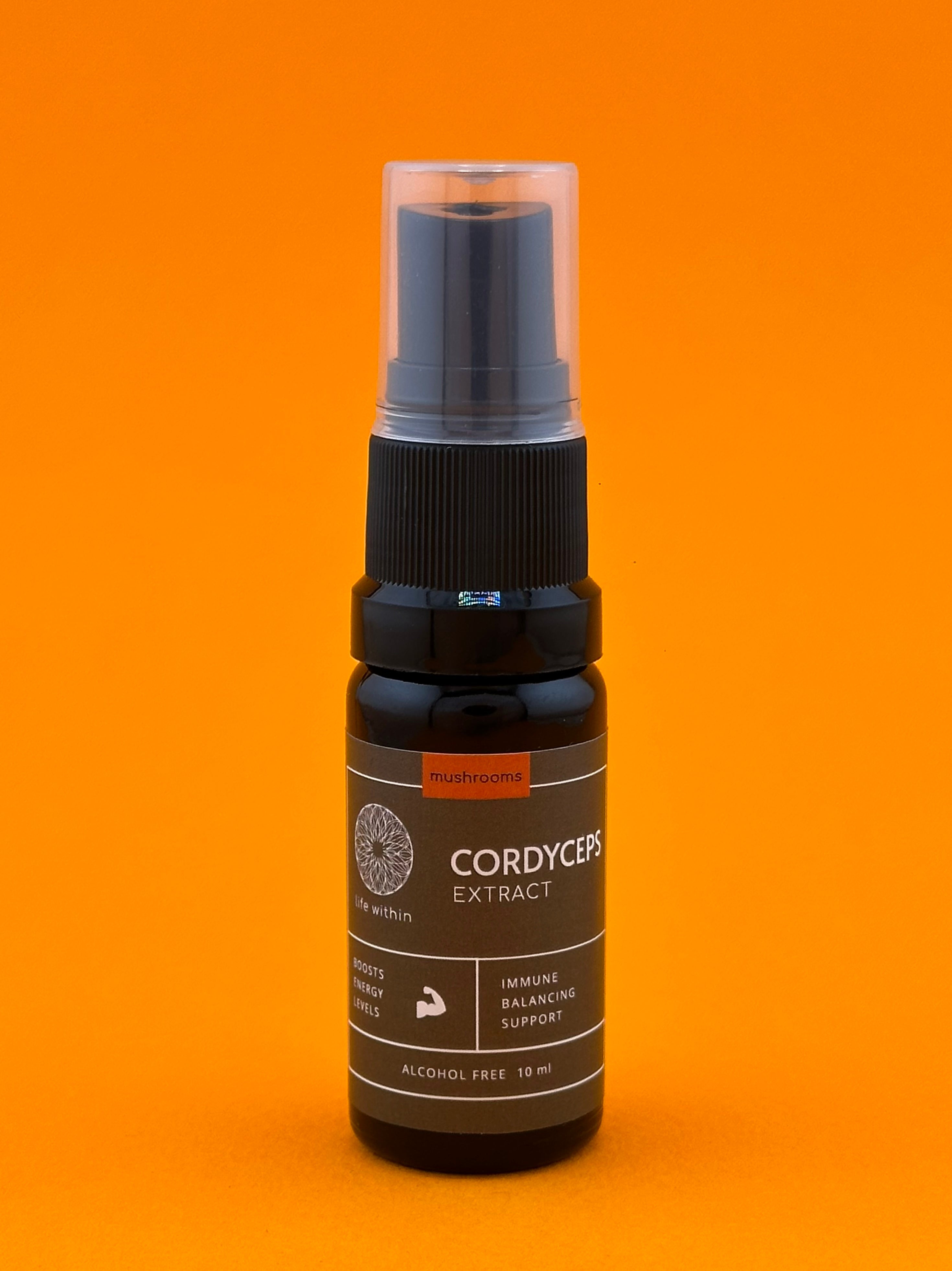 Mushroom Complete Bundle (10ml)